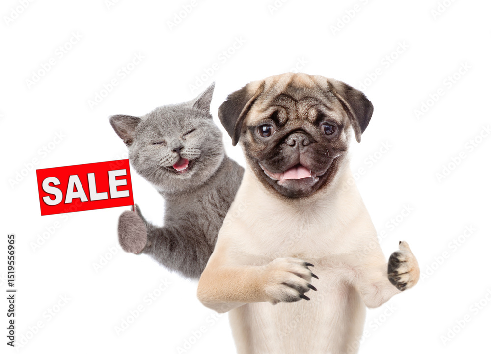 Poster smiling cat and pug puppy look at camera. dog shows thumbs up gesture. kitten shows signboard with l