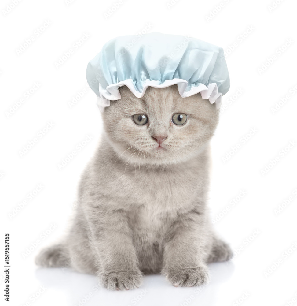 Poster Cute kitten with tiny shower cap on it head sits in front view and looks at camera. isolated on white background