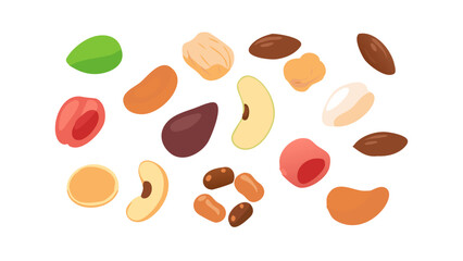 Colorful assorted nuts and seeds arranged creatively on a white background highlighting their natural textures and shapes