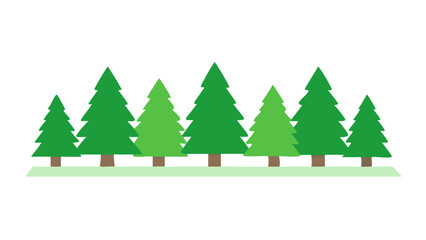 Fototapeta premium Green pine trees lined up on a grassy surface create a serene natural setting