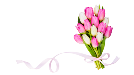 pink and white tulip bouquet tied with satin ribbon on white background, spring tulips floral arrangement isolated with decorative bow, elegant tulip bunch for romantic or celebratory theme