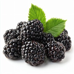 Harvesting joy fresh blackberries displayed in vibrant detail nature's bounty studio setting close-up perspective sweet indulgence