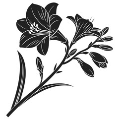 A monochromatic illustration of a freesia plant with flowers and buds