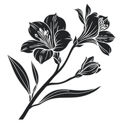 Elegant Alstroemeria Flowers in Black and White Line Art Illustration Style