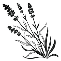 Elegant black and white illustration of a lavender flower bouquet design