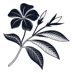 Elegant botanical illustration showcasing a flower, buds, and leaves in monochrome art