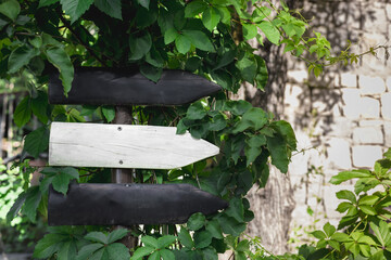 Wooden directional signpost in a garden showing two arrows toward different paths