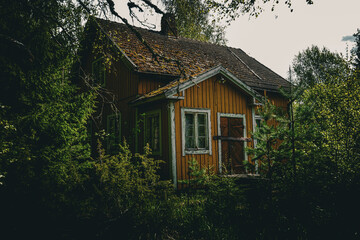Abandoned House Overgrown with Trees