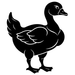 duck vector illustration