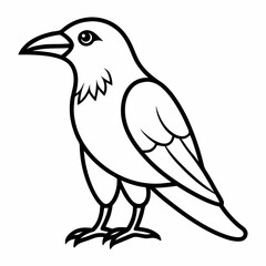 crow on a white background