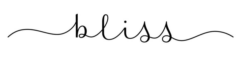 BLISS black vector brush calligraphy banner with swashes