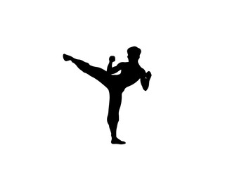 Martial arts silhouette kicking