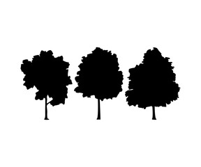 Silhouette tree set vector design and illustration.
