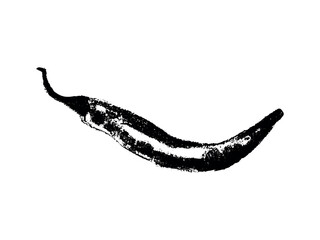 Charcoal style vector doodle chili pepper and jalapeno. Hand drawn symbol for food labels, cosmetic packaging, kitchen decor, and extended license design projects.