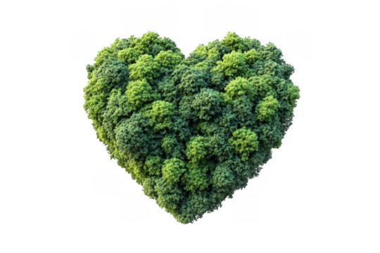 Heart shaped forest canopy isolated on transparent background