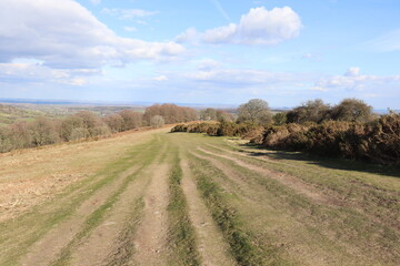 Fototapeta premium Summertime landscape along Hergest Ridge