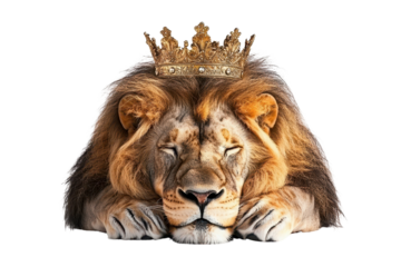 Majestic Lion King A Sleeping Lion Wearing a Golden Crown A regal image perfect for royalty power and wildlife themes
