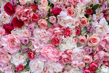 Close up background of pink roses in full bloom. Romantic-dreamy themed design with freshness, beauty, serenity. 