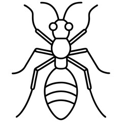 black spider vector illustration