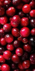 Vibrant Cranberries: Fresh Red Berries from Nature's Bounty for Holiday Cuisine & Superfood Ingredients