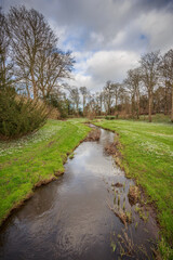 stream running through woodland with reflection of the sky