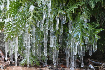 Frosty