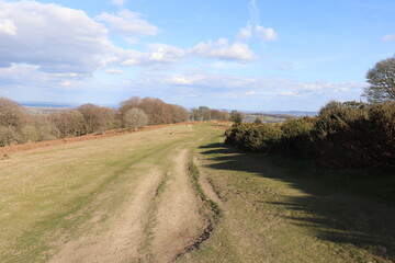 Naklejka premium Summertime landscape along Hergest Ridge