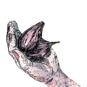 Feminine hand with garlic blossom 