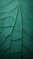 Obraz premium Close-up of Green Leaf Veins