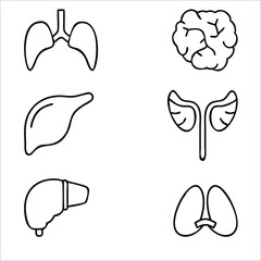 Vector illustration set of human organs, including a heart icon, in a healthy and natural design