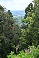 Climbing Mt. Takao, Tokyo, Japan