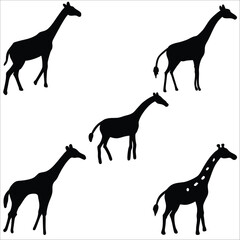 This design features a diverse vector set of giraffe silhouettes, animal illustrations, and various wildlife mammals