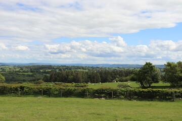 Fototapeta premium Hergest ridge in the UK