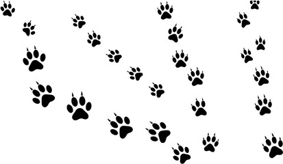 Paw print foot trail. Dog, cat paw print. Vector
