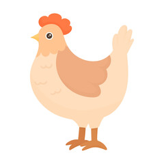 Beautiful chicken. Domestic common chicken for breeding on farms. Laying hen. Cute chicken for children illustrations