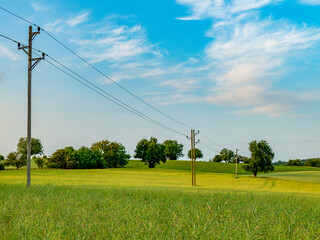 Strommasten im Feld