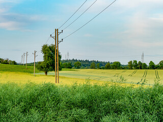 Strommasten im Feld