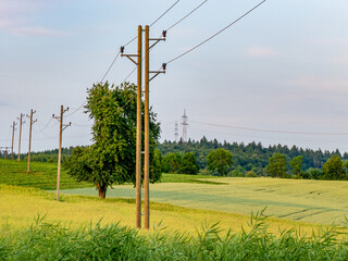Strommasten im Feld