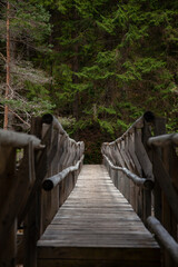 Forest and Iskar river in Rila mountain, Bulgaria