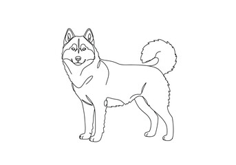 Fototapeta premium Husky dog drawing. It is a black and white outline image of a husky dog, a strong and loyal Siberian sled dog. Vector sketch line art draw.