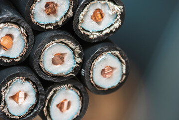 A bundle of cut coaxial cables, close-up cross-sectional view