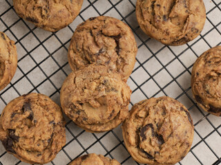 Chocolate chip cookies on white background