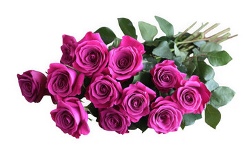 Obraz premium Ten magenta roses bouquet isolated on transparent background