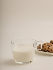 Chocolate chip cookies on white background