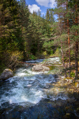 Forest and Iskar river in Rila mountain, Bulgaria