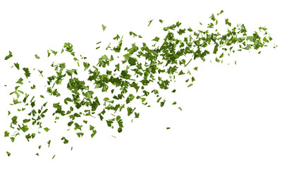 Chopped dry parsley leaves flying, isolated on white, clipping path, fresh herbs, culinary decoration, vector illustration, aromatic, natural spice, healthy ingredient.