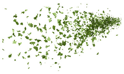Dry chopped parsley leaves flying, isolated on white, vector illustration, parsley leaves, green herbs, fresh parsley, herbs for cooking, seasoning, kitchen ingredients. © aura studio
