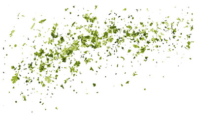 Chopped dry parsley leaves flying, isolated on white, cutout, healthy food, culinary herbs, cooking ingredients, fresh parsley, vector illustration, organic seasoning. © aura studio