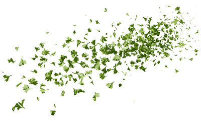 Flying chopped dry parsley leaves, isolated on white, fresh herbs, cutout, culinary decoration, organic spice, healthy food, vector illustration, aromatic garnish.
