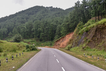 Winding road through lush green hills and pine forests of Meghalaya.